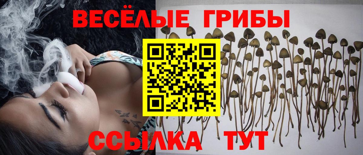 Галлюциногенные грибы GOLDEN TEACHER  Вход с VPN  Псилоцибиновые грибы MAGIC MUSHROOMS  Ипатово 